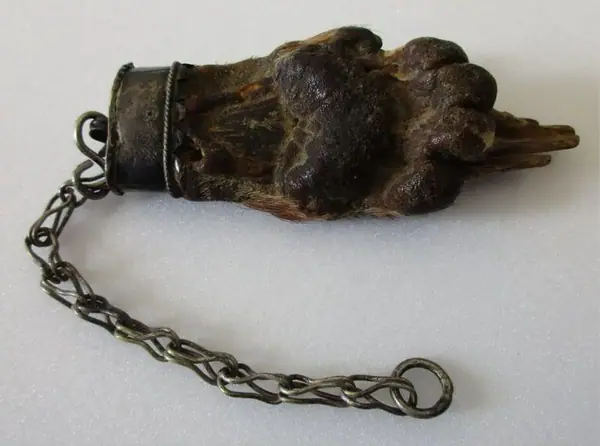 Badger's paw amulet mounted in silver, Seville (Spain), 1800-1899