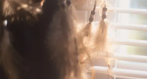 The Feathers of My Dreamcatcher