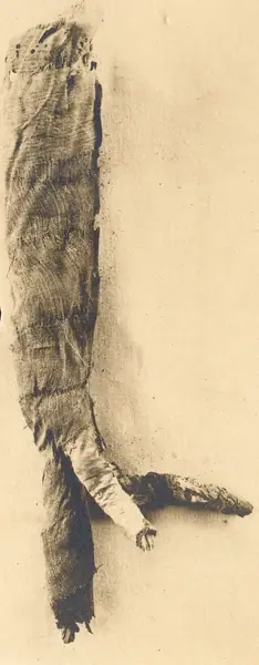 Anubis or Imiut fetish (see 14.3.19–.20)