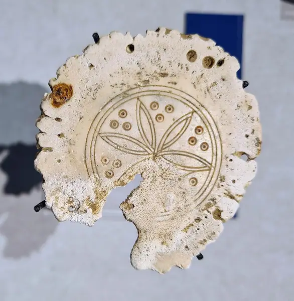 2025 Maastricht Museum, vroegmiddeleeuwse grafvondsten