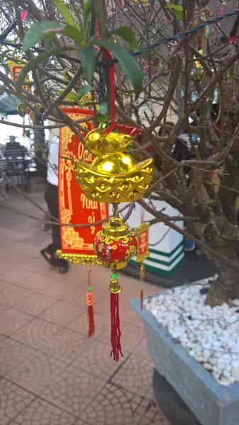 Hoan Kiem District Tết Vietnamese numismatic charm, Hanoi (2018)
