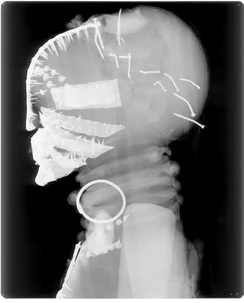 Power Figure (Nkishi)