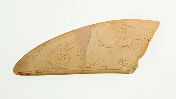 Magic Wand fragment