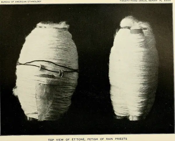 Annual report of the Bureau of American Ethnology to the Secretary of the Smithsonian Institution (1895) (19361171145)