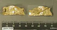 EARLY MEDIEVAL BRACTEATE