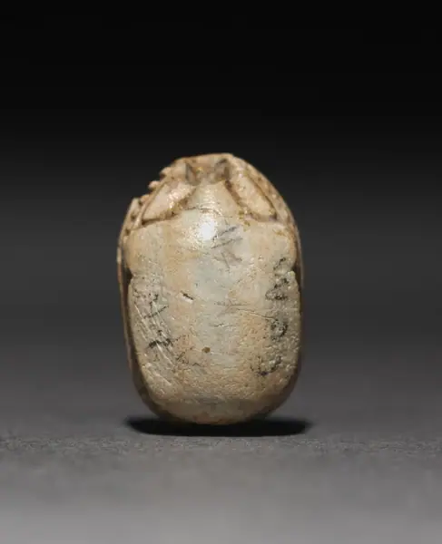 Scarab