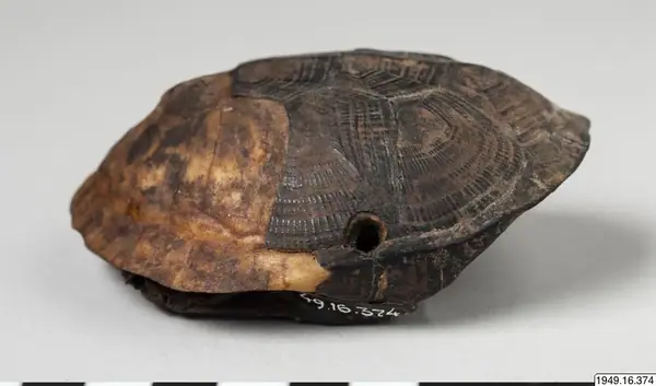 amulet, tortoise shell, amulet