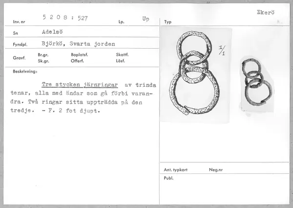 iron amulet ring