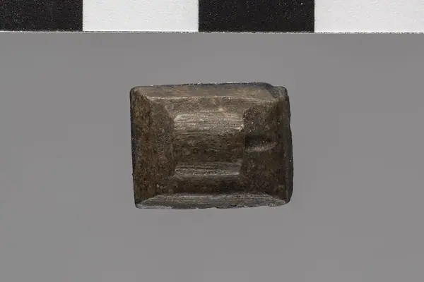 Amulet depicting a seal title QS:P1476,en:"Amulet depicting a seal " label QS:Len,"Amulet depicting a seal " label QS:Lit,"Amuleto raffigurante un sigillo"