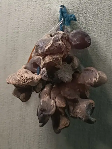Arkeologia muzeo ĉe lago Andrejevskoje (Tjumeno)