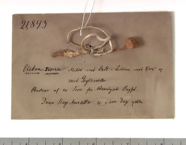 Reinsene amulet from Norge, Finnmark
