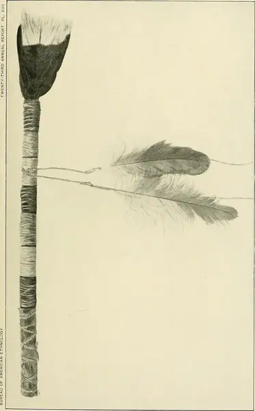 Annual report of the Bureau of American Ethnology to the Secretary of the Smithsonian Institution (1901) (14780594424)