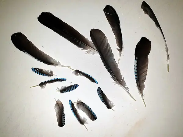 Handmade dreamcatcher 020