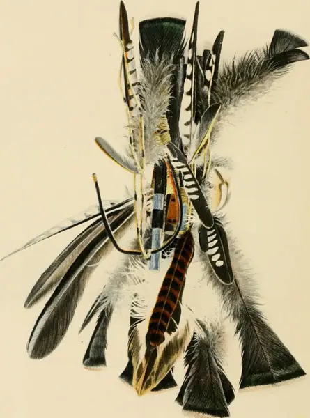 Annual report of the Bureau of American Ethnology to the Secretary of the Smithsonian Institution (1901) (14596289859)