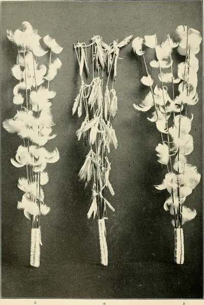 Annual report of the Bureau of American Ethnology to the Secretary of the Smithsonian Institution (1895) (19173889658)