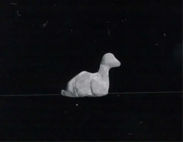 Duck amulet