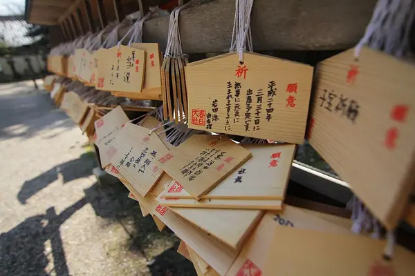 Wishes and Fortunes (6969737658)