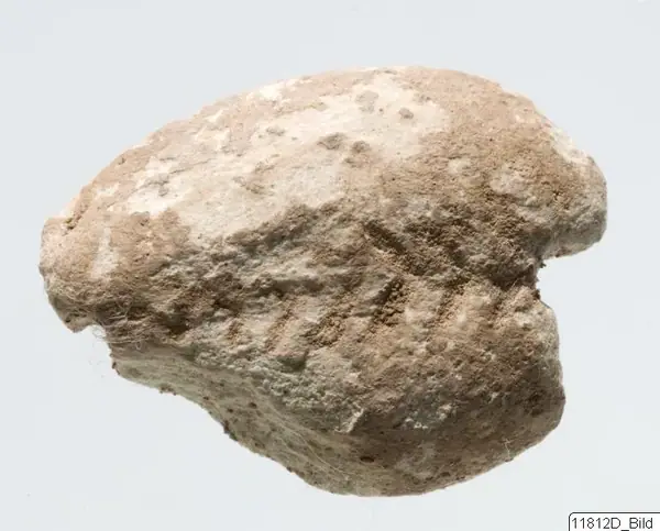 Amulet from Cyprus
