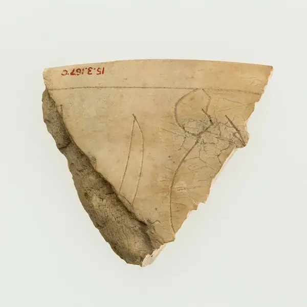 Magic knife fragments
