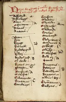 Page of Gothic text from a 15th century Leech-Book