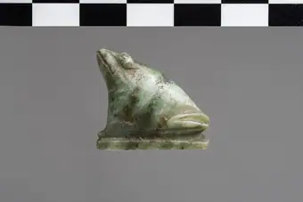 Amulet depicting a frog title QS:P1476,en:"Amulet depicting a frog " label QS:Len,"Amulet depicting a frog " label QS:Lit,"Amuleto raffigurante una rana"