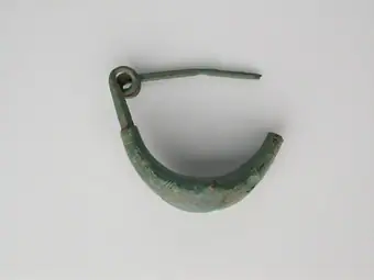 Leech Fibula (Brooch)