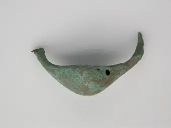 Fibula (leech type)