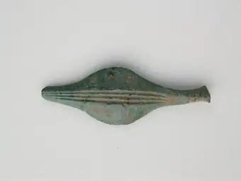 Fibula (leech type)