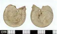 MEDIEVAL AMPULLA
