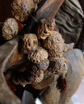 Dracontomelon dao noyau vendu comme amulette
