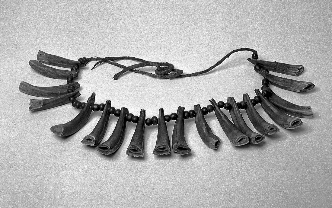 Bear claws and red trade beads