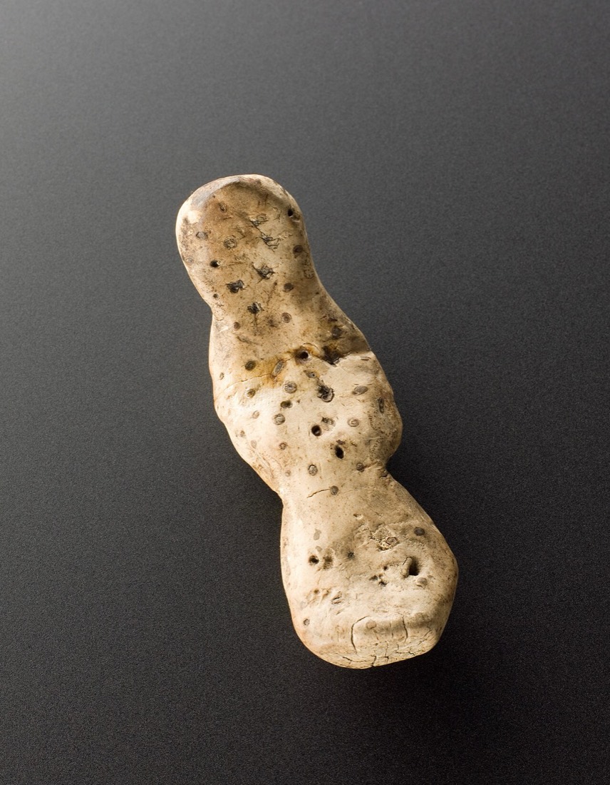 An iris root shaped like a man