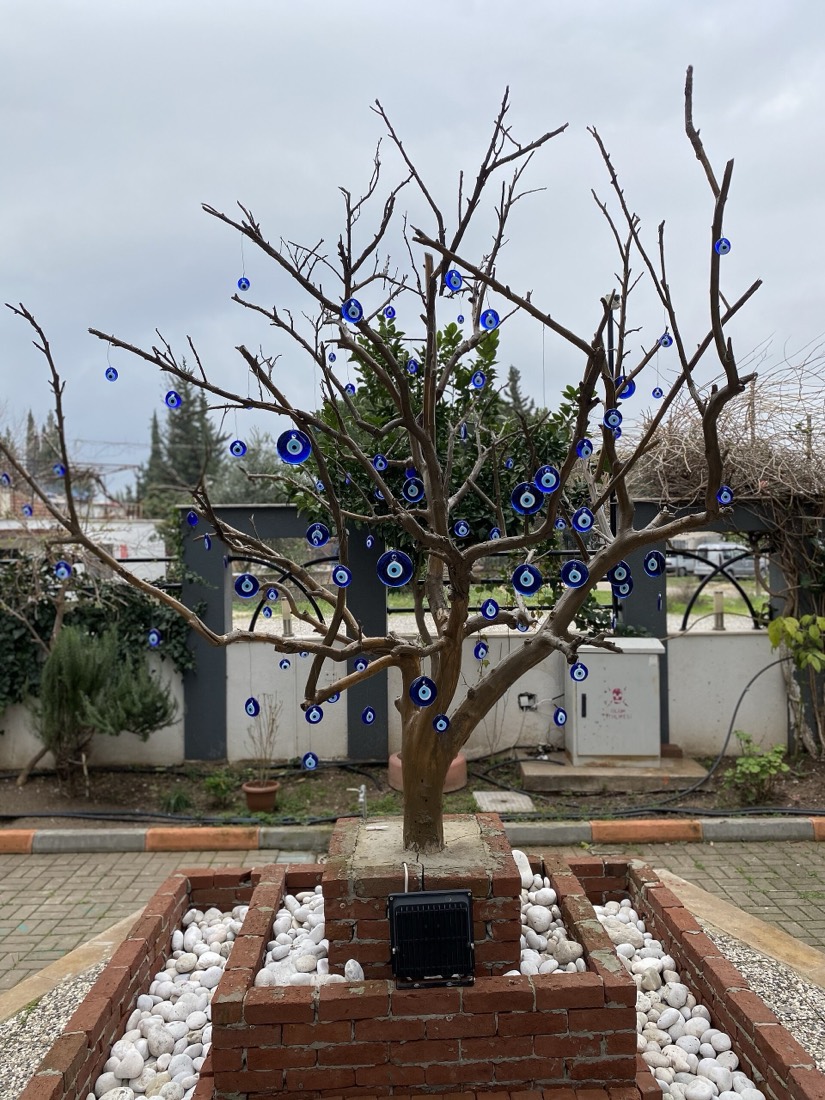 A nazar tree