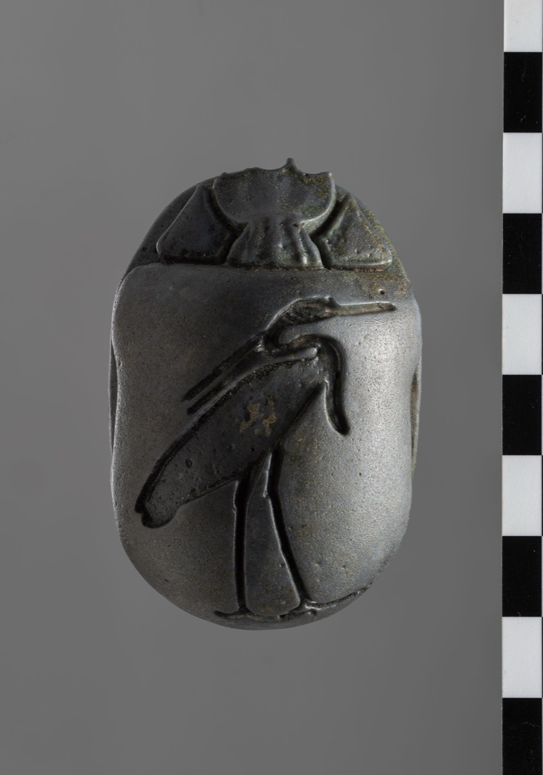 A heart scarab in steatite, Turin